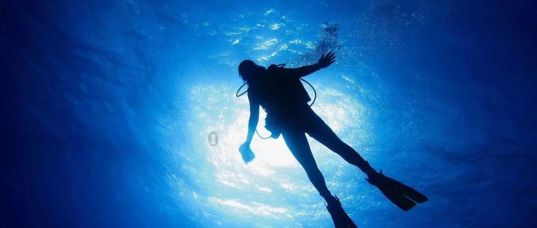 云海雾凇“同框” 宛如仙境